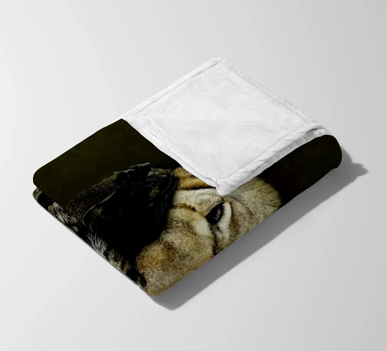 Classy Lioness fleece blanket by Wouter Rikken