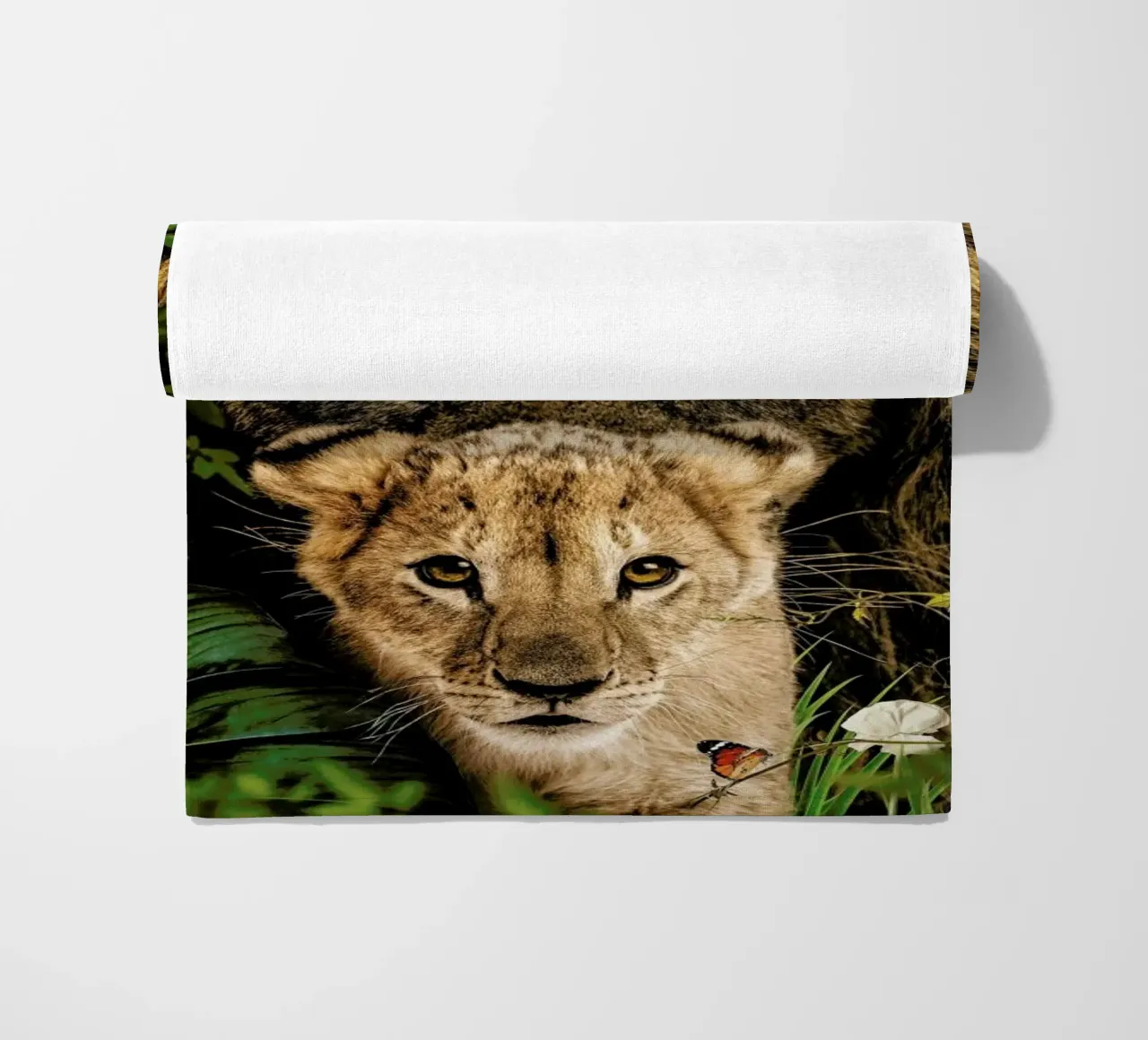 Lioness 2 telo mare da Wouter Rikken