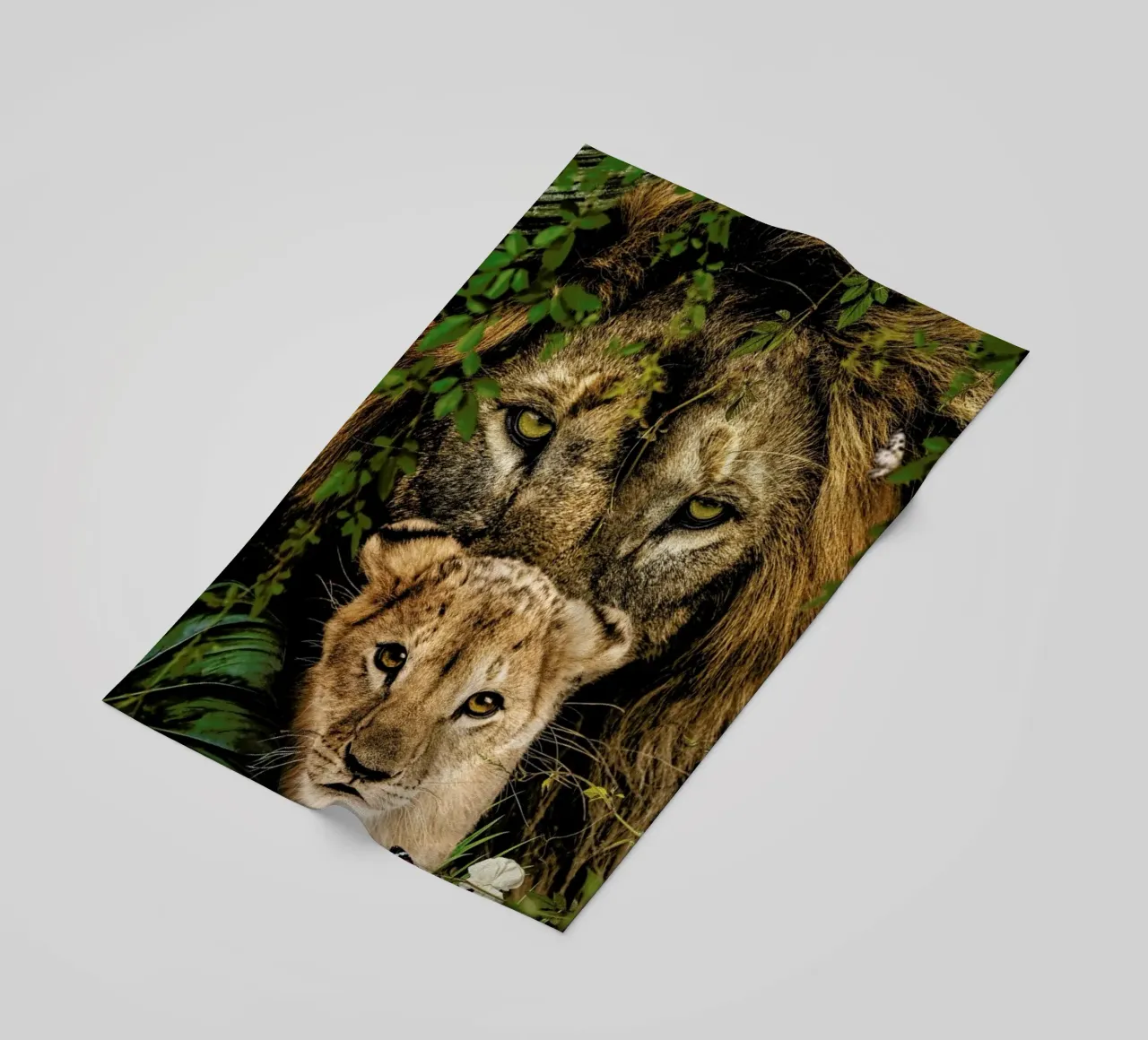 Lioness 2 telo mare da Wouter Rikken