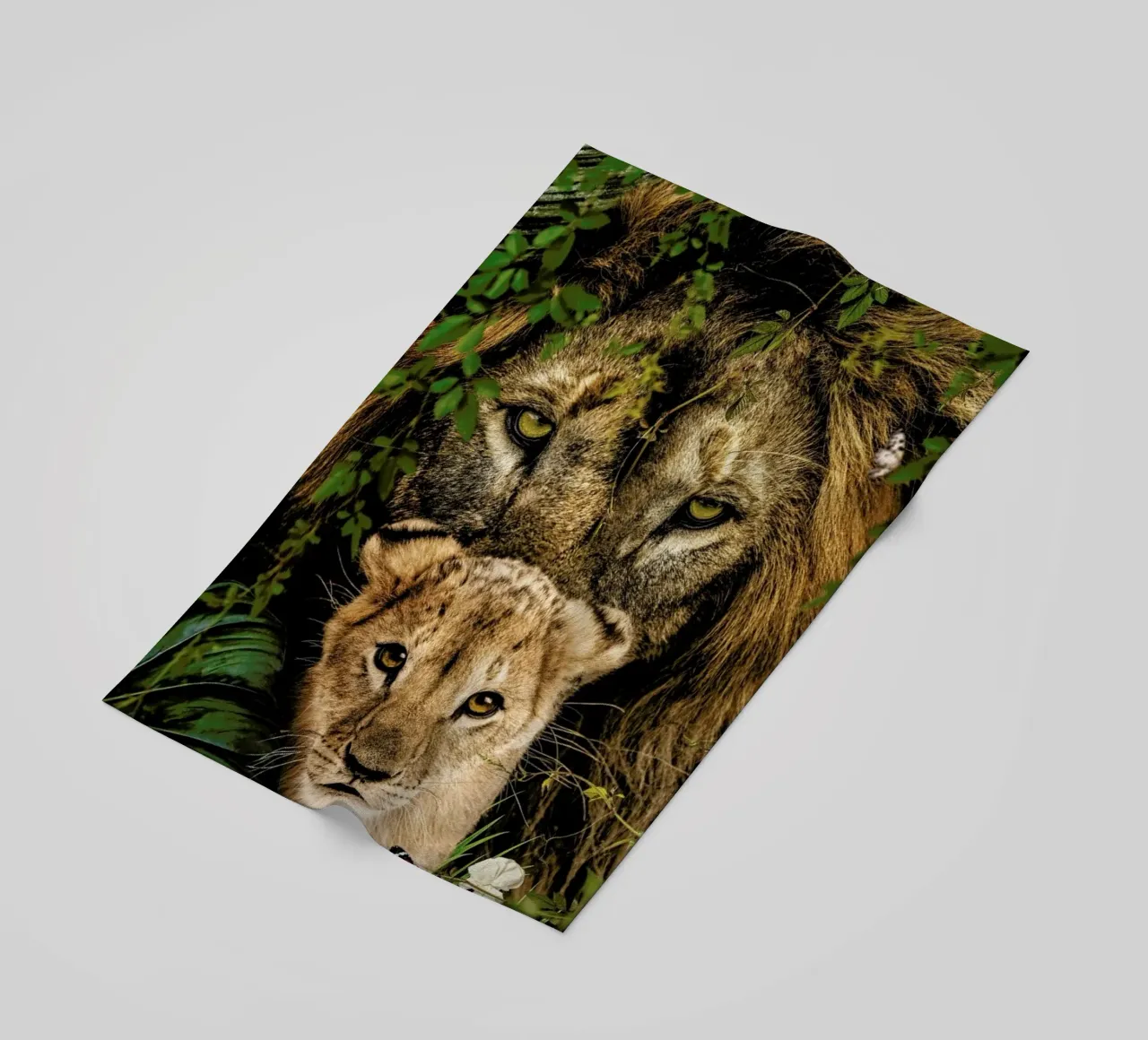 Lioness 2 telo mare da Wouter Rikken