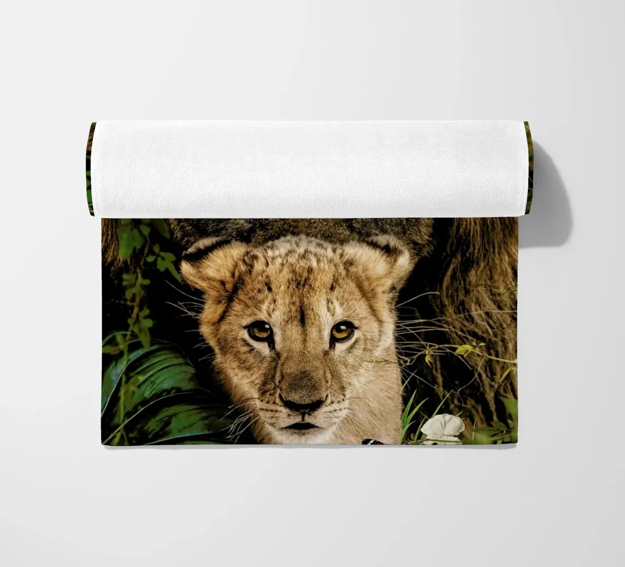 Lioness 2 telo mare da Wouter Rikken