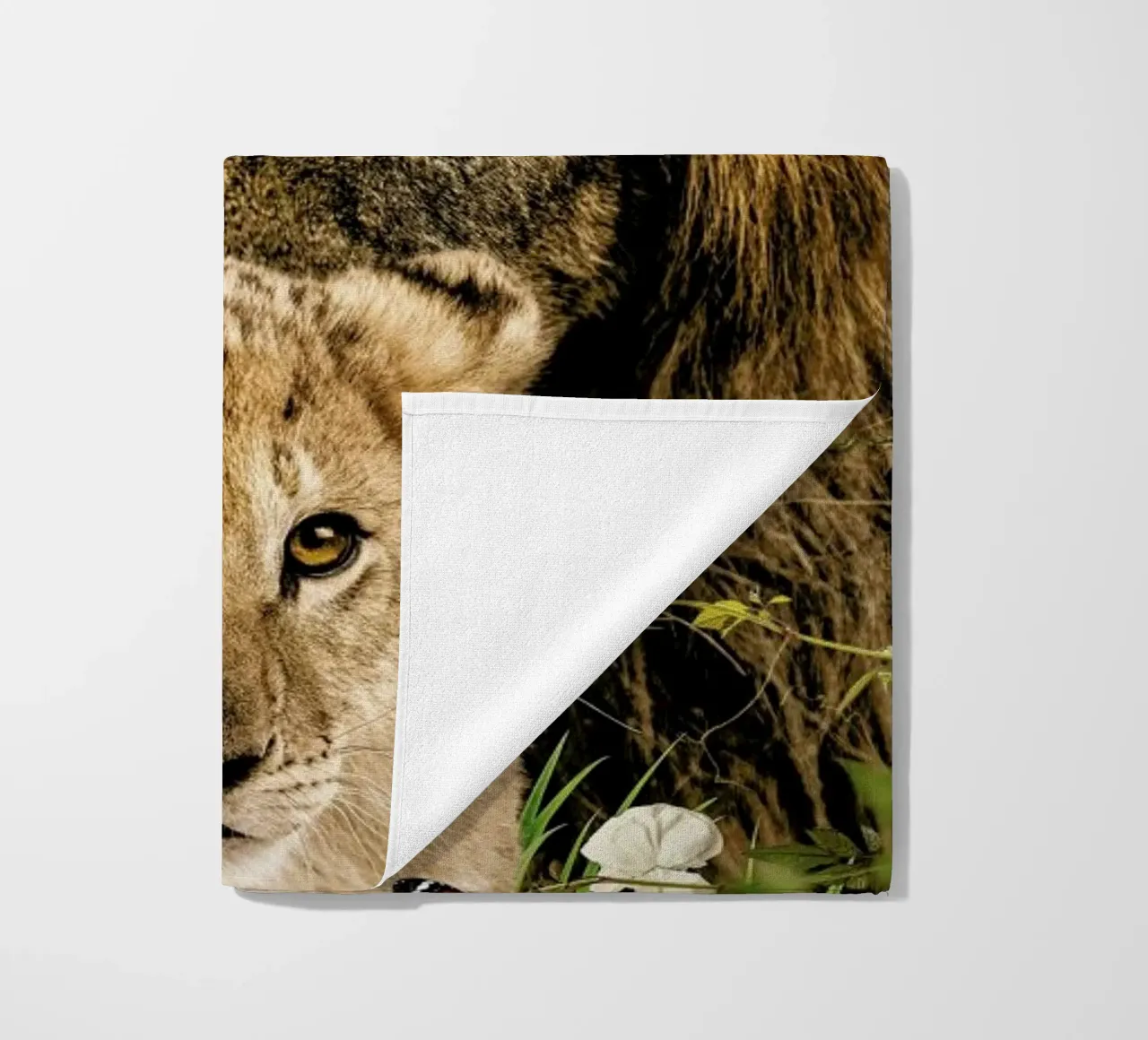 Lioness 2 telo mare da Wouter Rikken