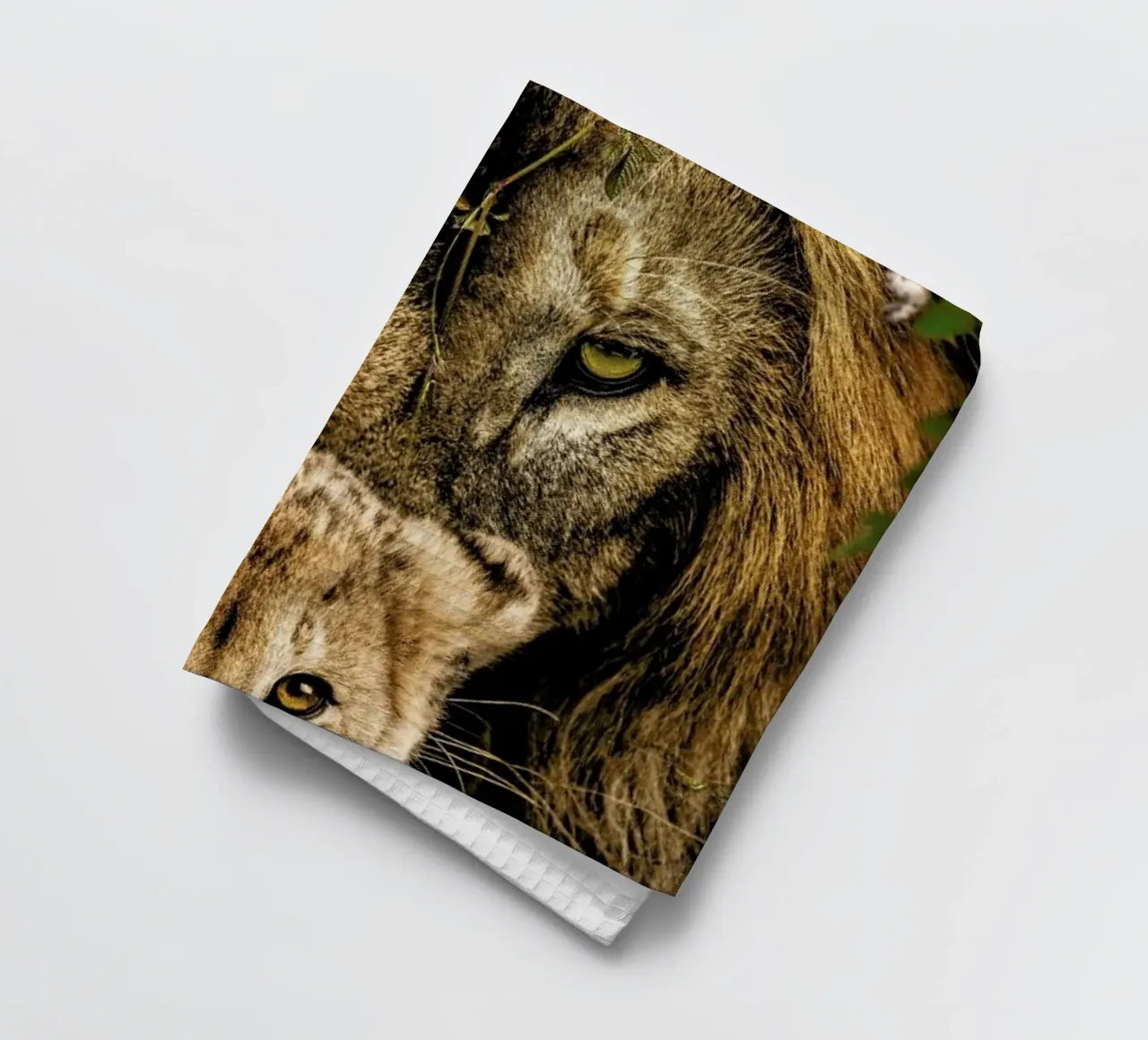 Lioness 2 canovaccio da cucina da Wouter Rikken