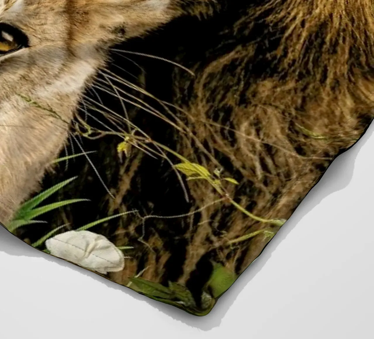 Lioness 2 coperta in pile da Wouter Rikken