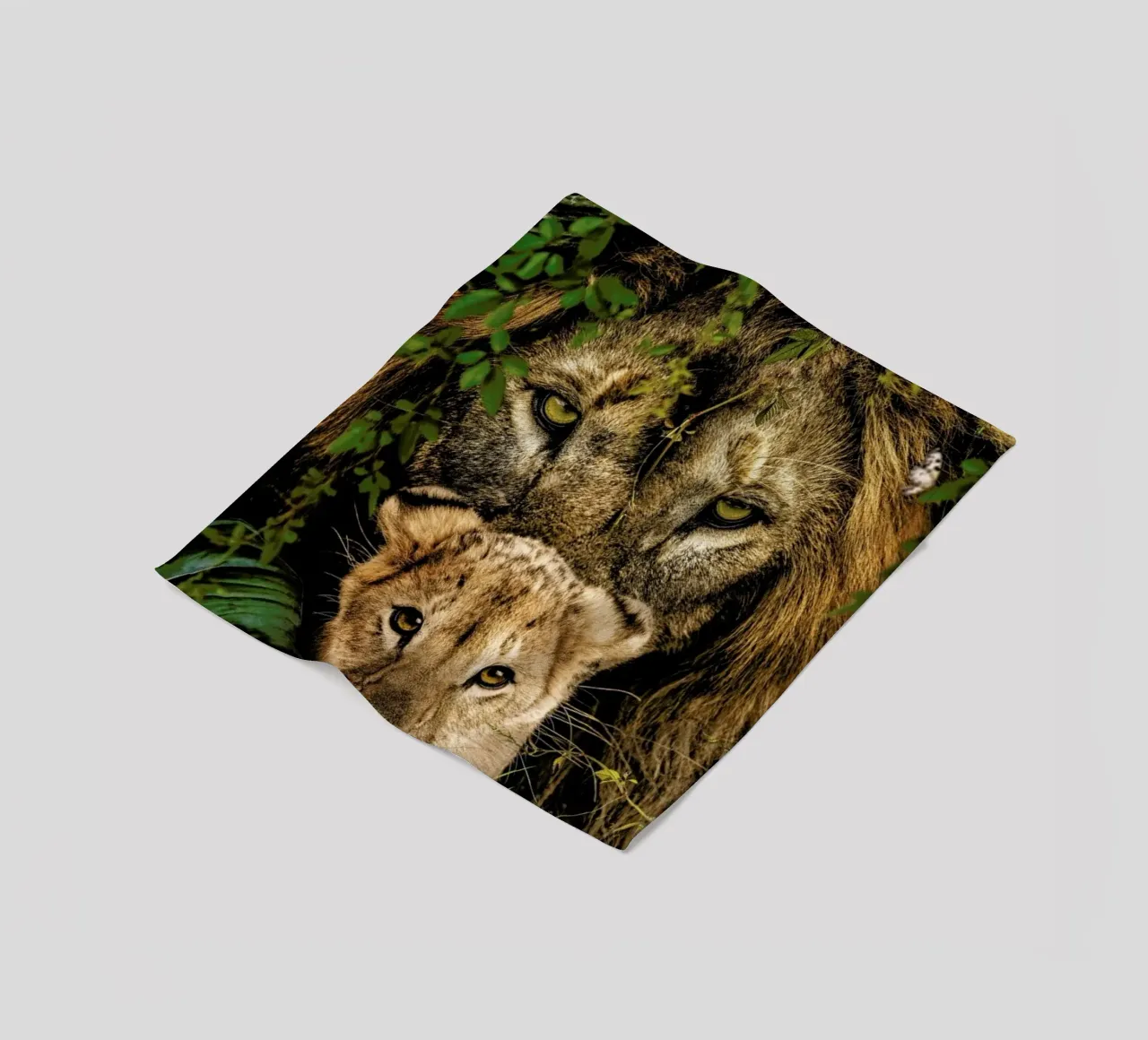 Lioness 2 coperta in pile da Wouter Rikken