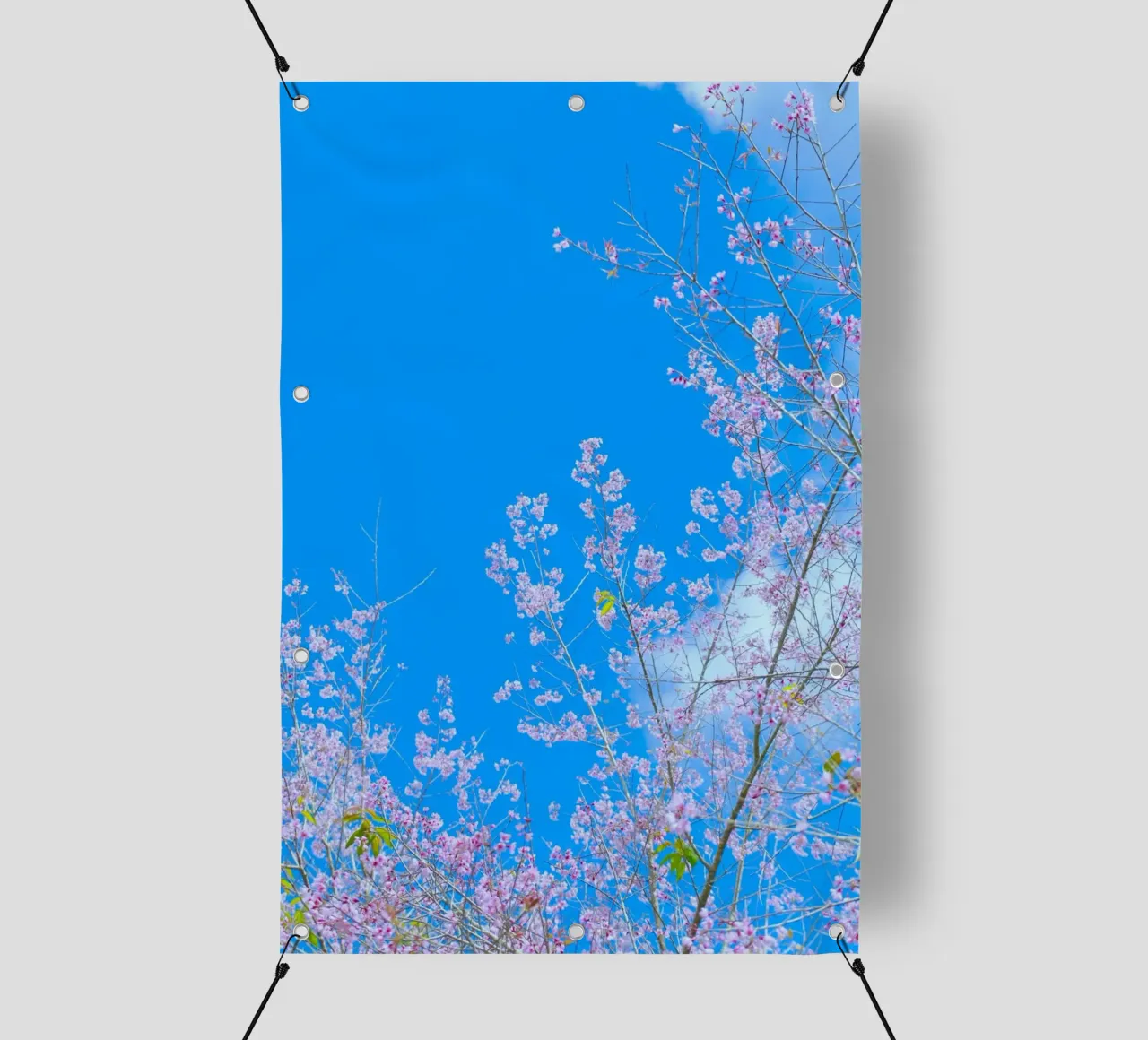rami di primavera telo in pvc da space words