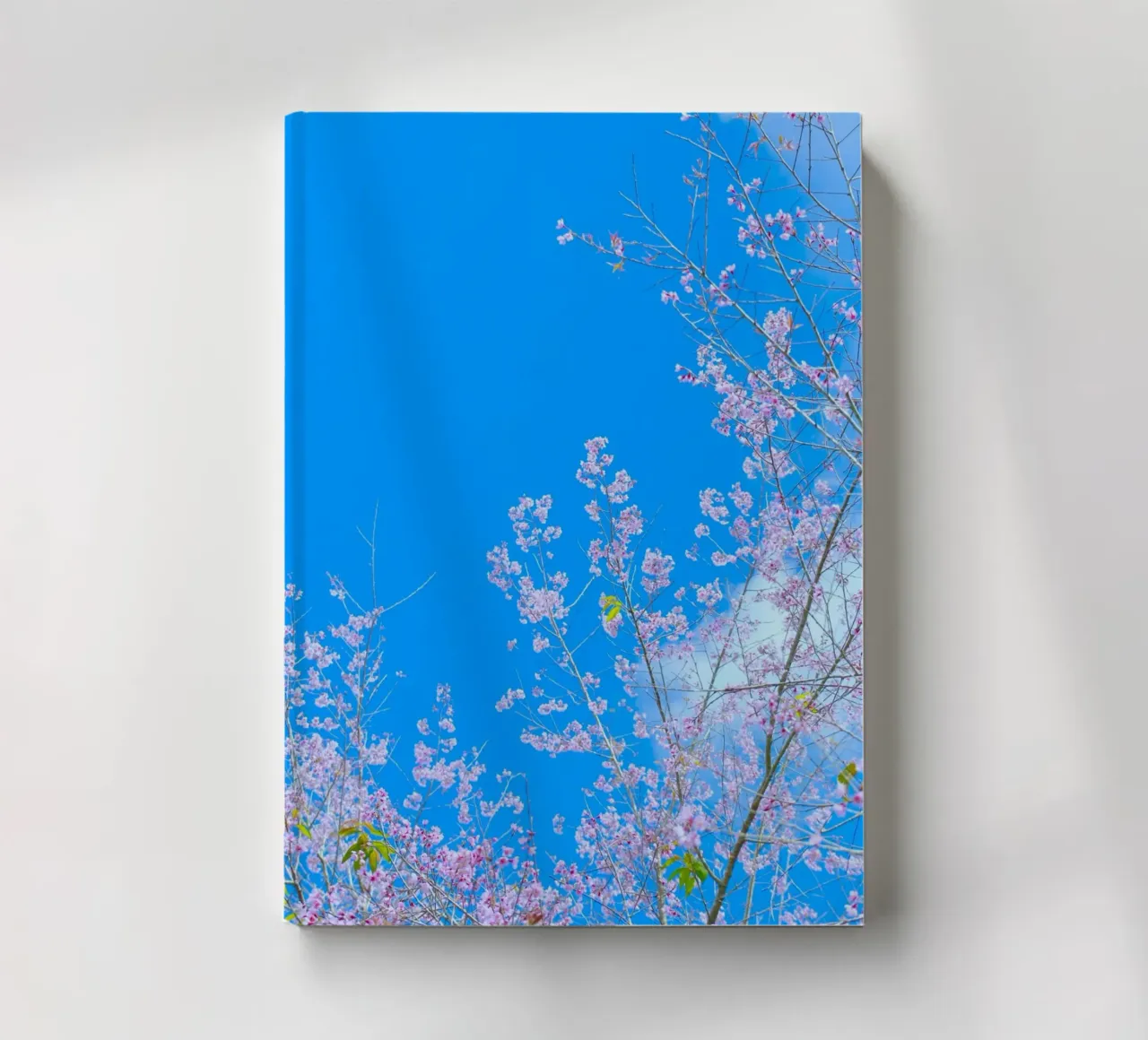 spring branches notebook by space words