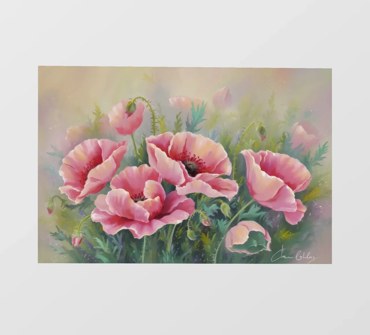 Papavero di velluto in fiore telo in pvc da Dream Spectrum