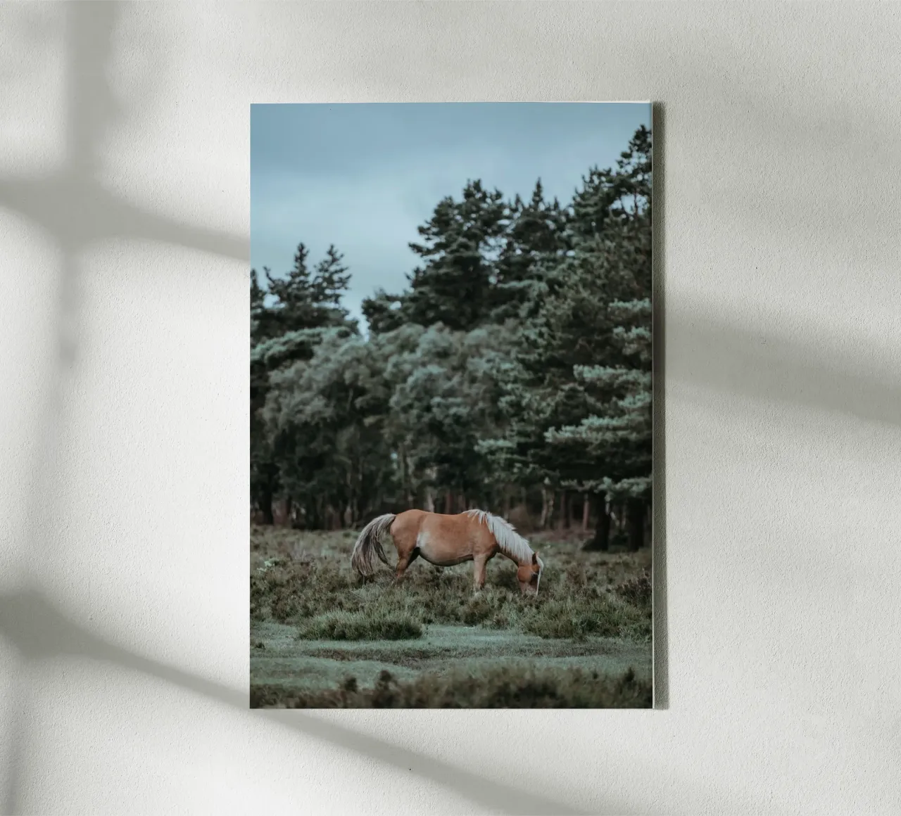 fauna forestale tela con Cornice a cassetta da Horsire