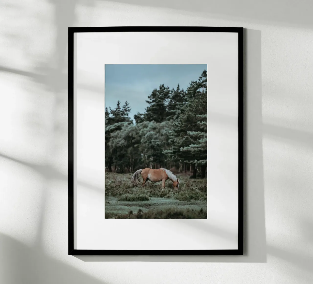 fauna forestale poster da Horsire