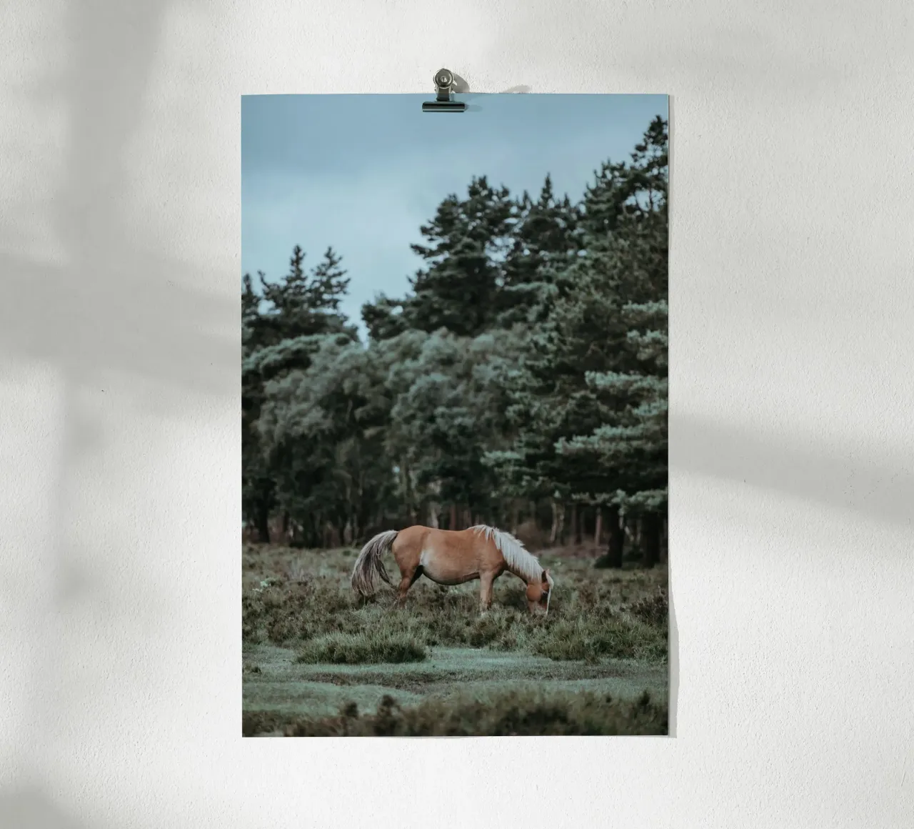 fauna forestale poster da Horsire