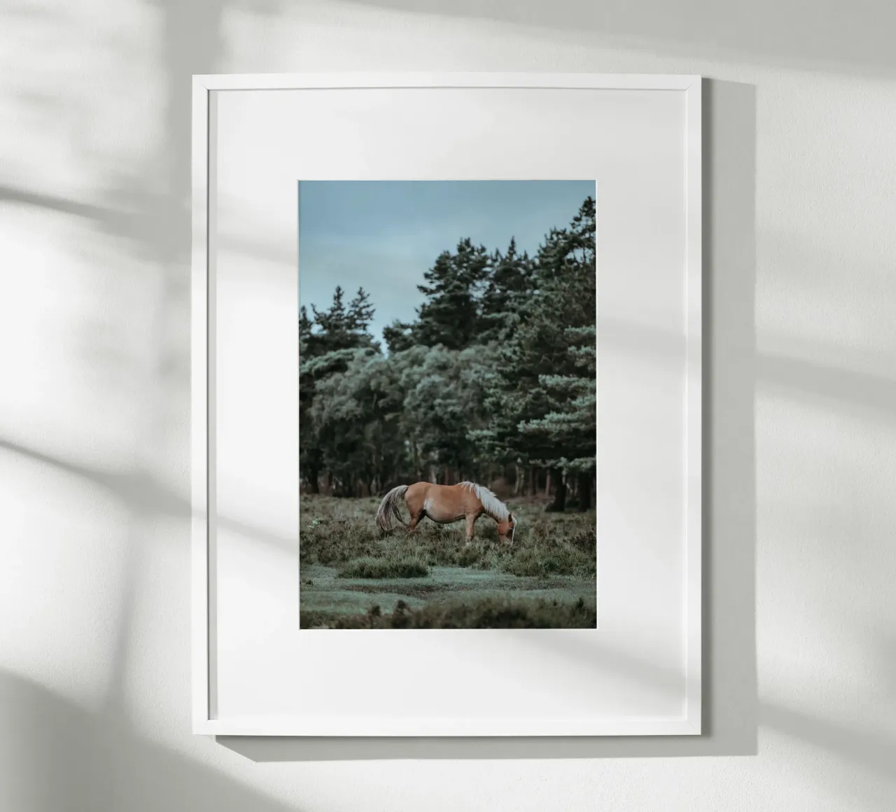 fauna forestale poster da Horsire