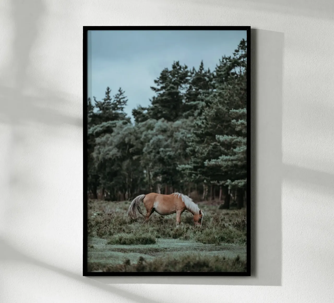 fauna forestale poster da Horsire