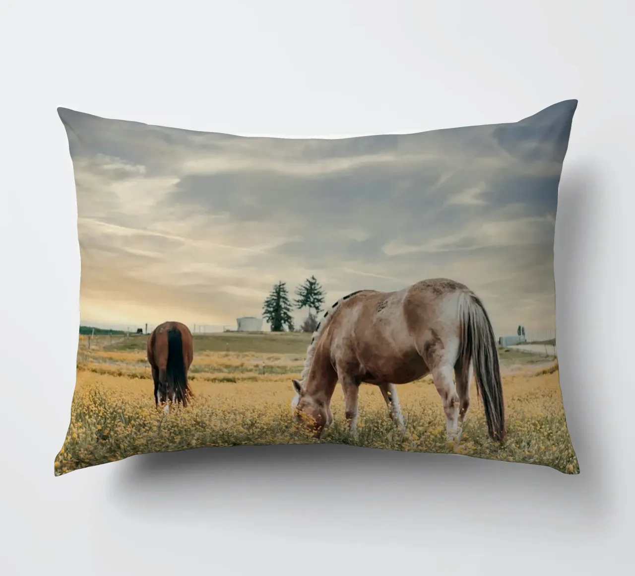 pascolo recintato cuscino da Horsire