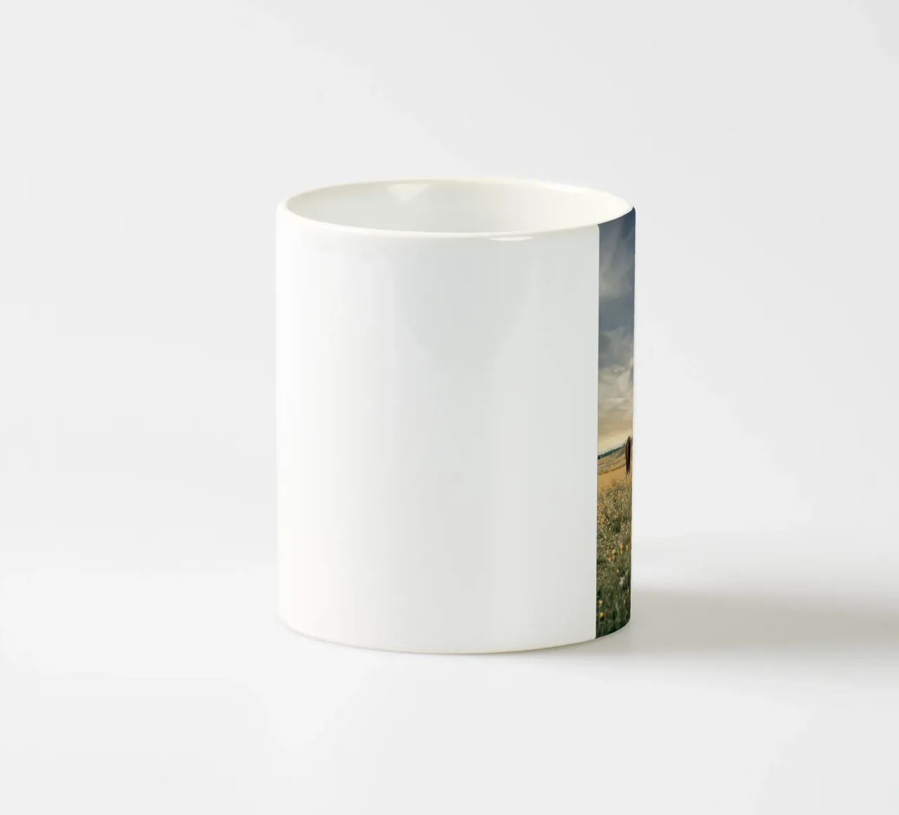 pascolo recintato tazza in ceramica da Horsire