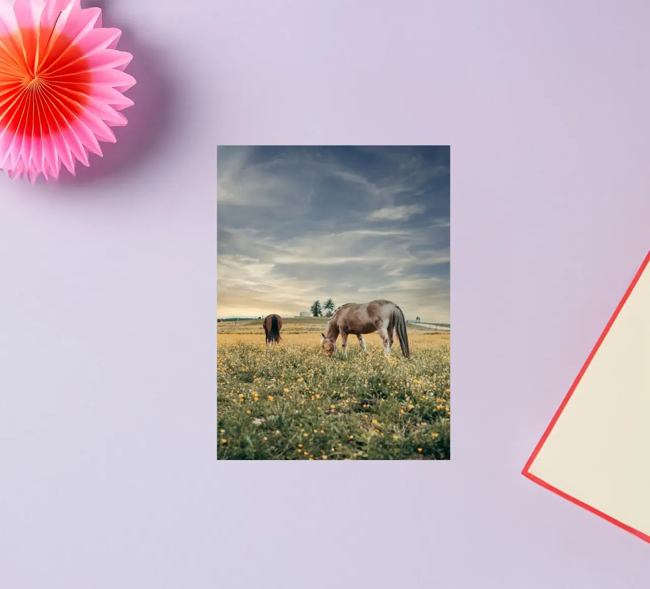 begrazing met hek sticker van Horsire