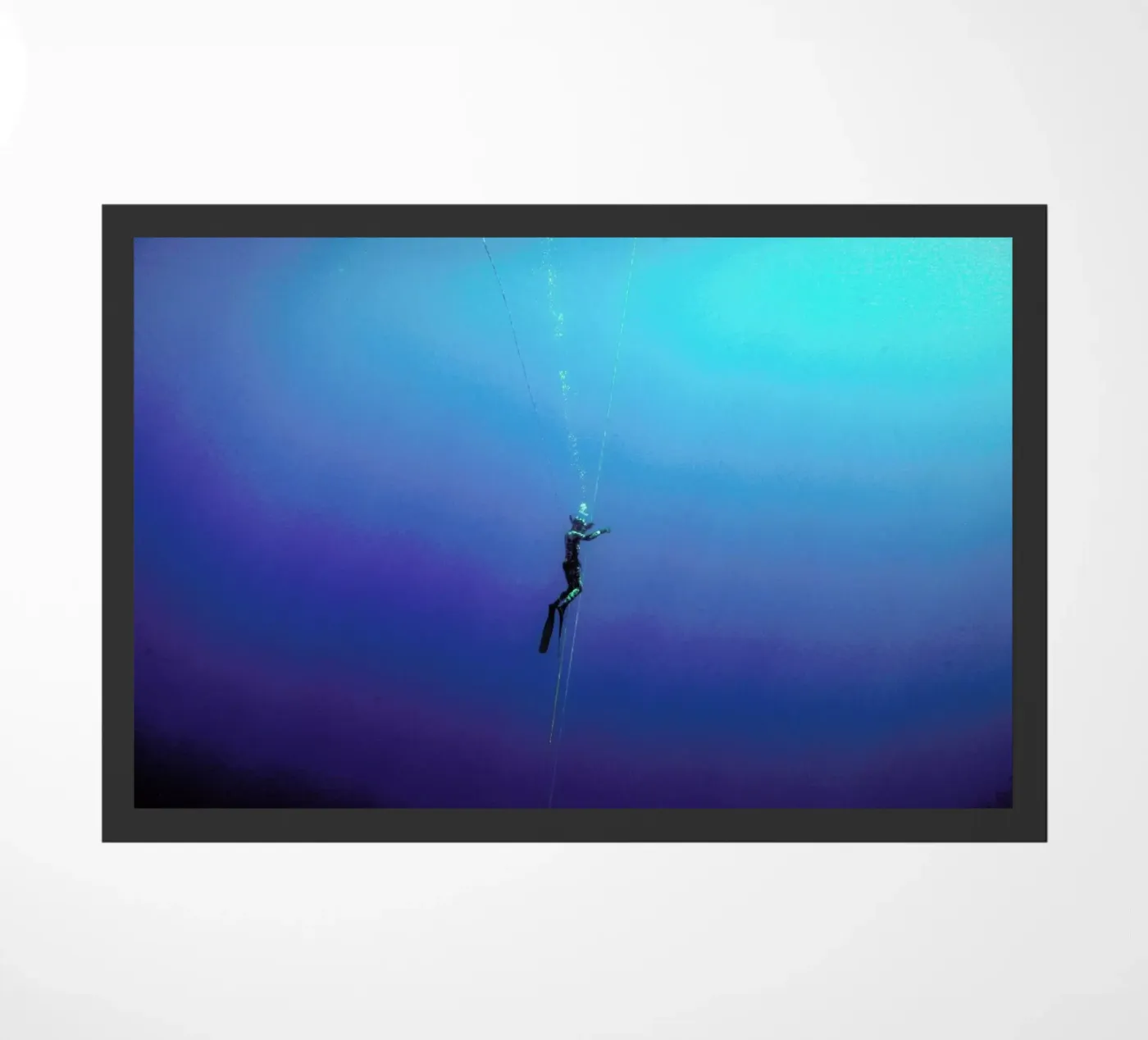 Untitled_9 zerbino da James Cooper