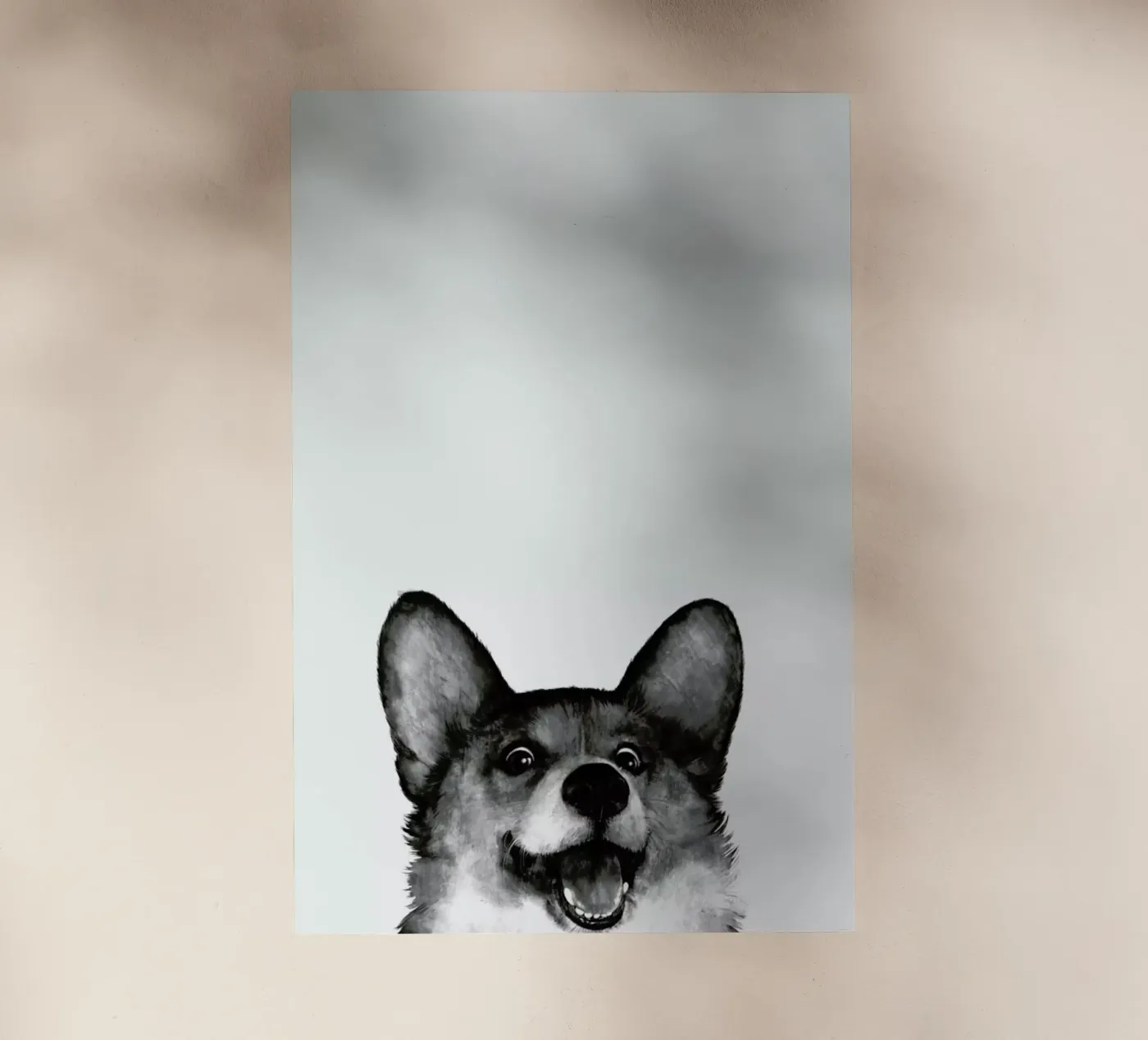 Corgi pellicola backlit da Laura Graves