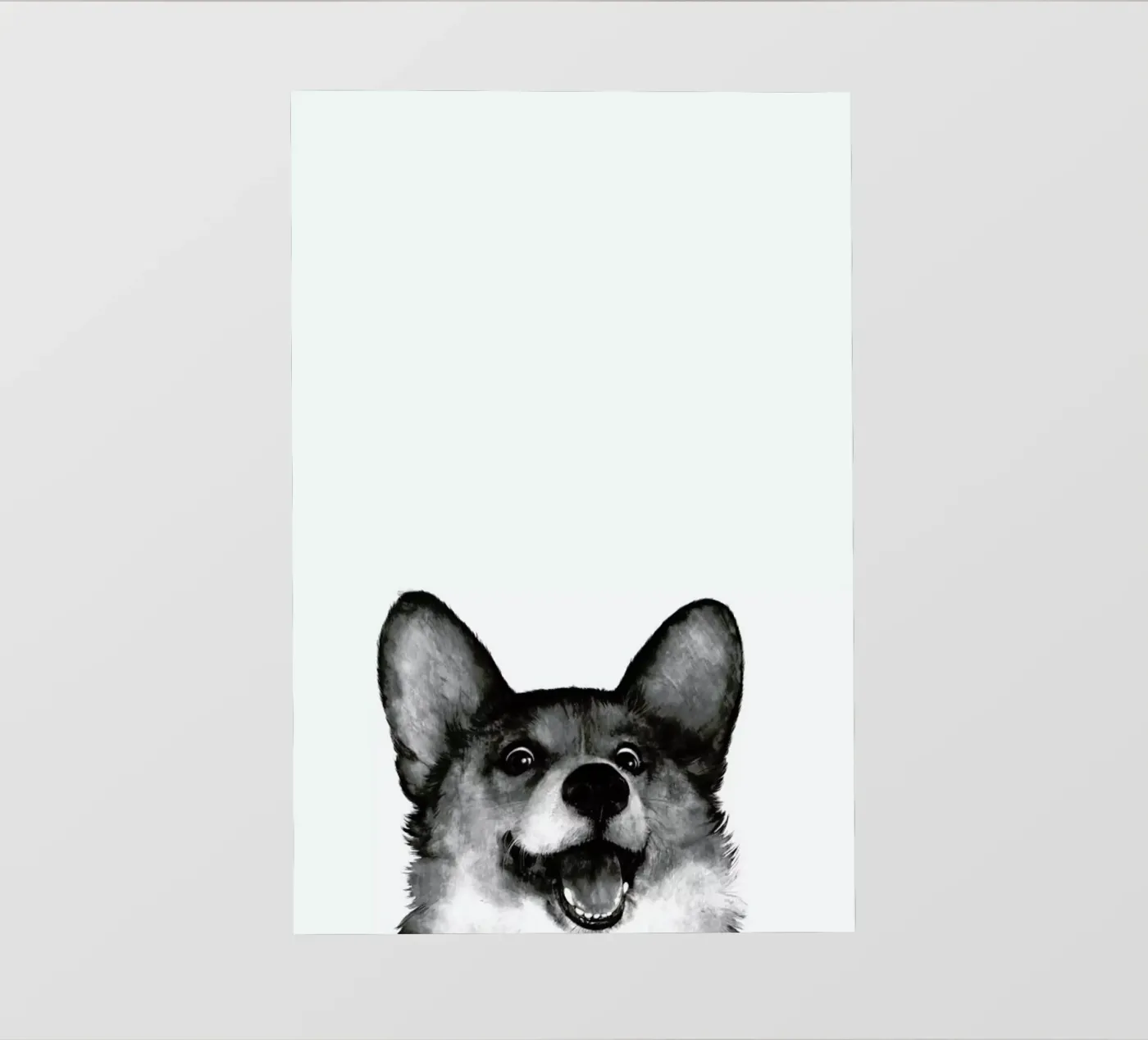 Corgi pellicola backlit da Laura Graves