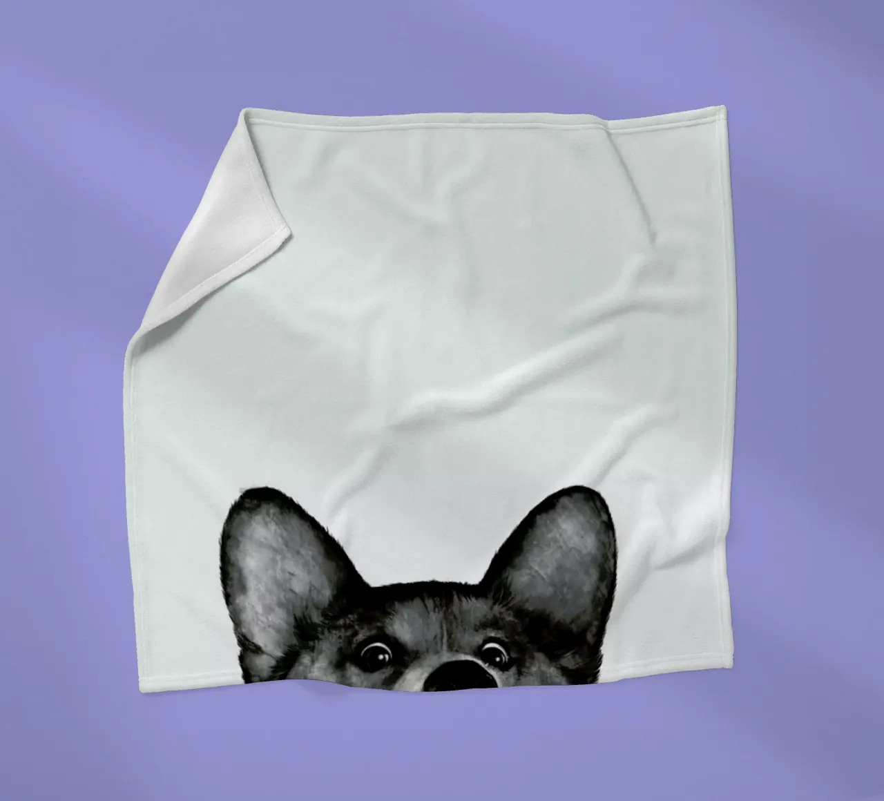 Corgi Fleecedecke von Laura Graves