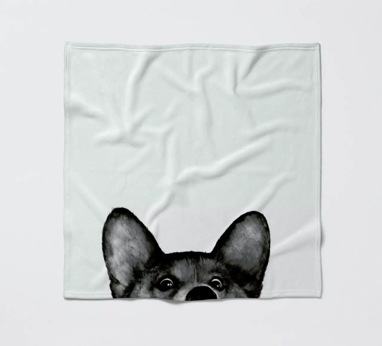 Corgi Fleecedecke von Laura Graves