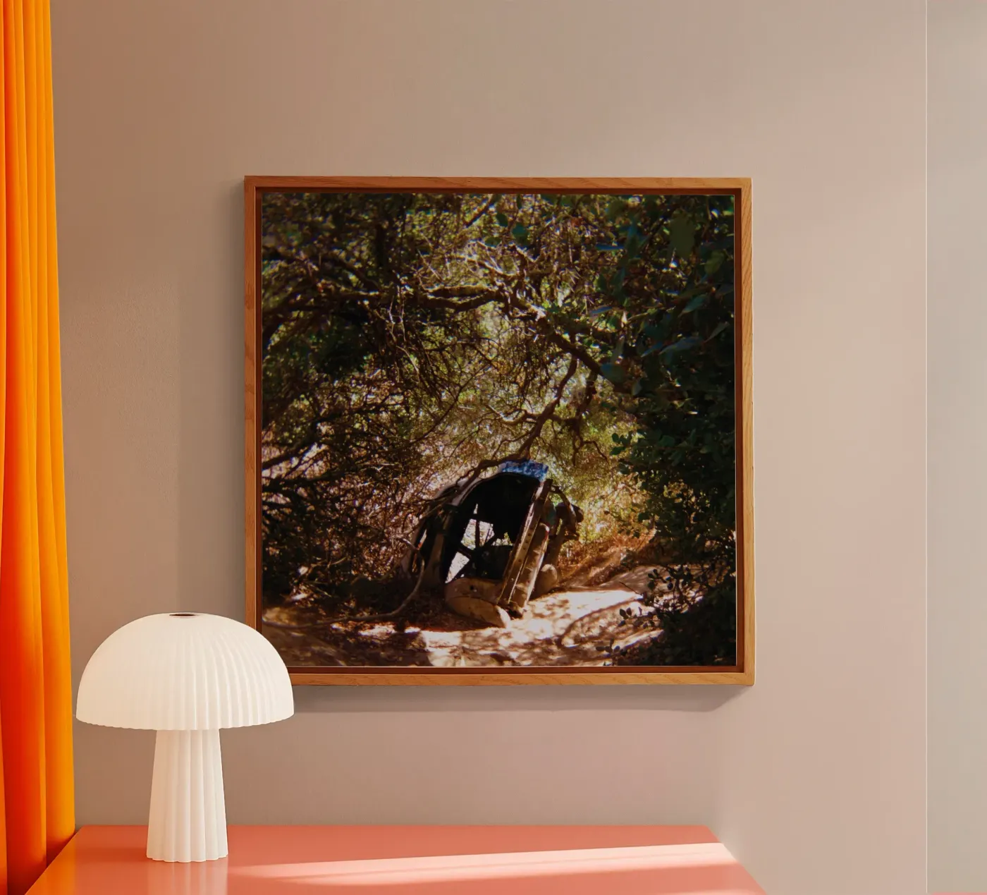 Ty Segall Possession plexiglass da Band Merch