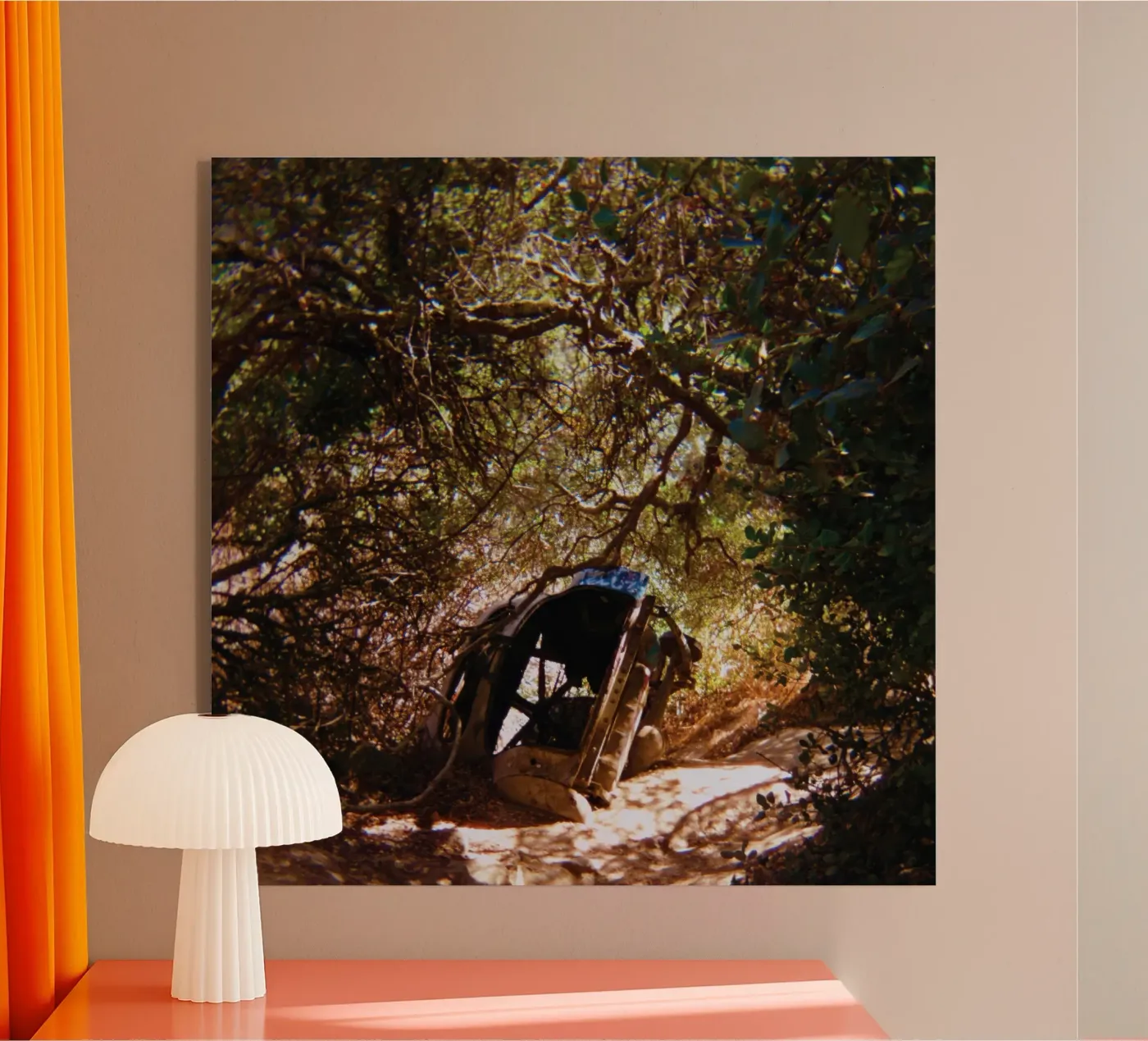 Ty Segall Possession plexiglass da Band Merch