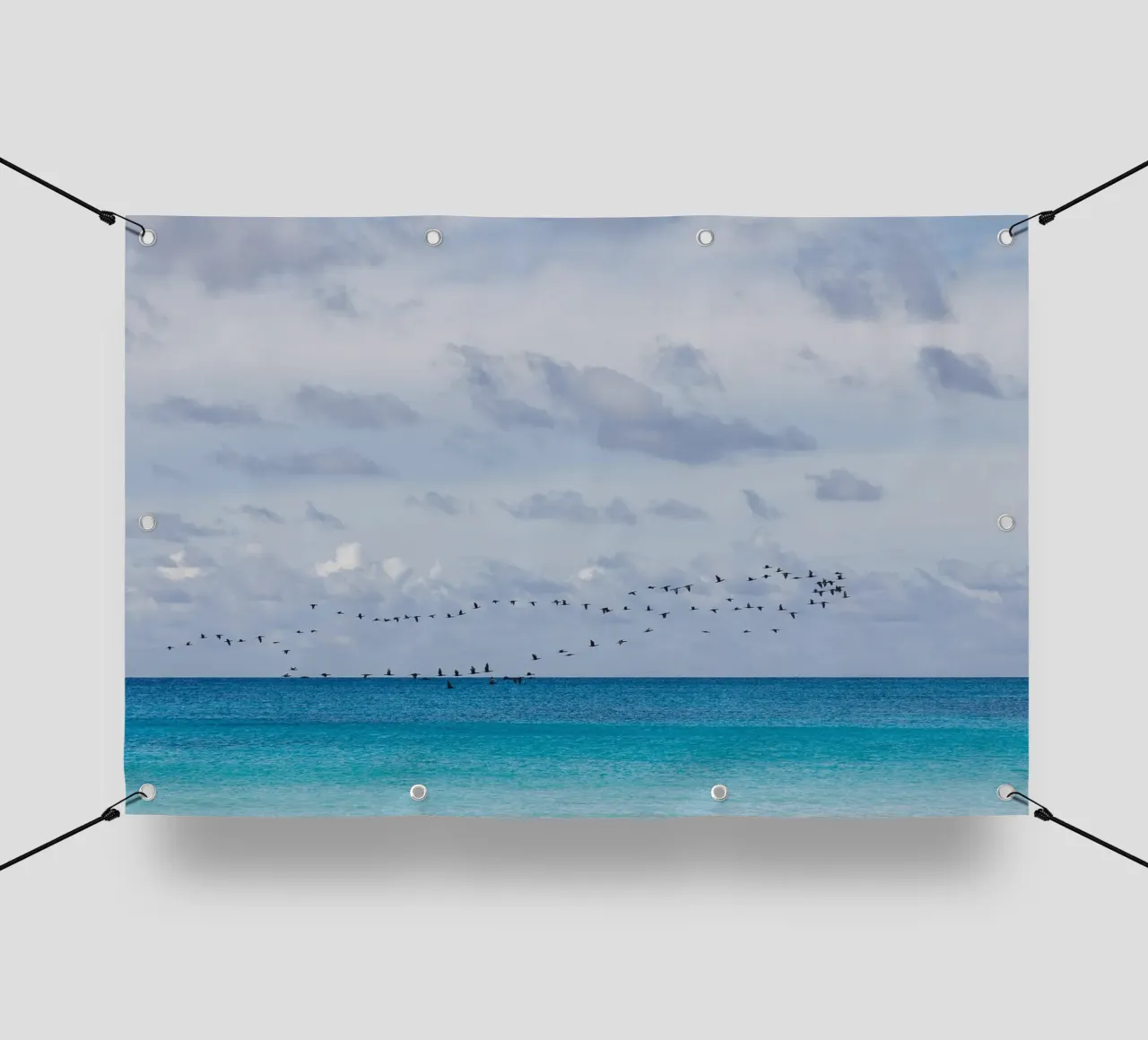 Birds in the sky telo in pvc da photolovers
