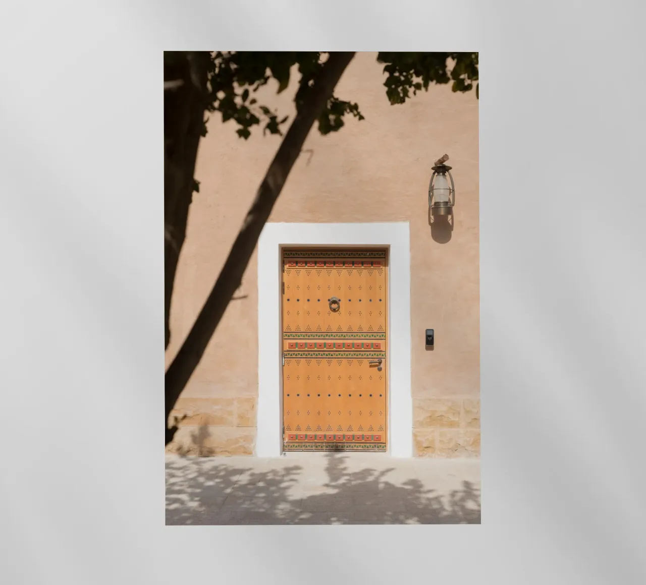 Arabian door and a tree pellicola backlit da photolovers