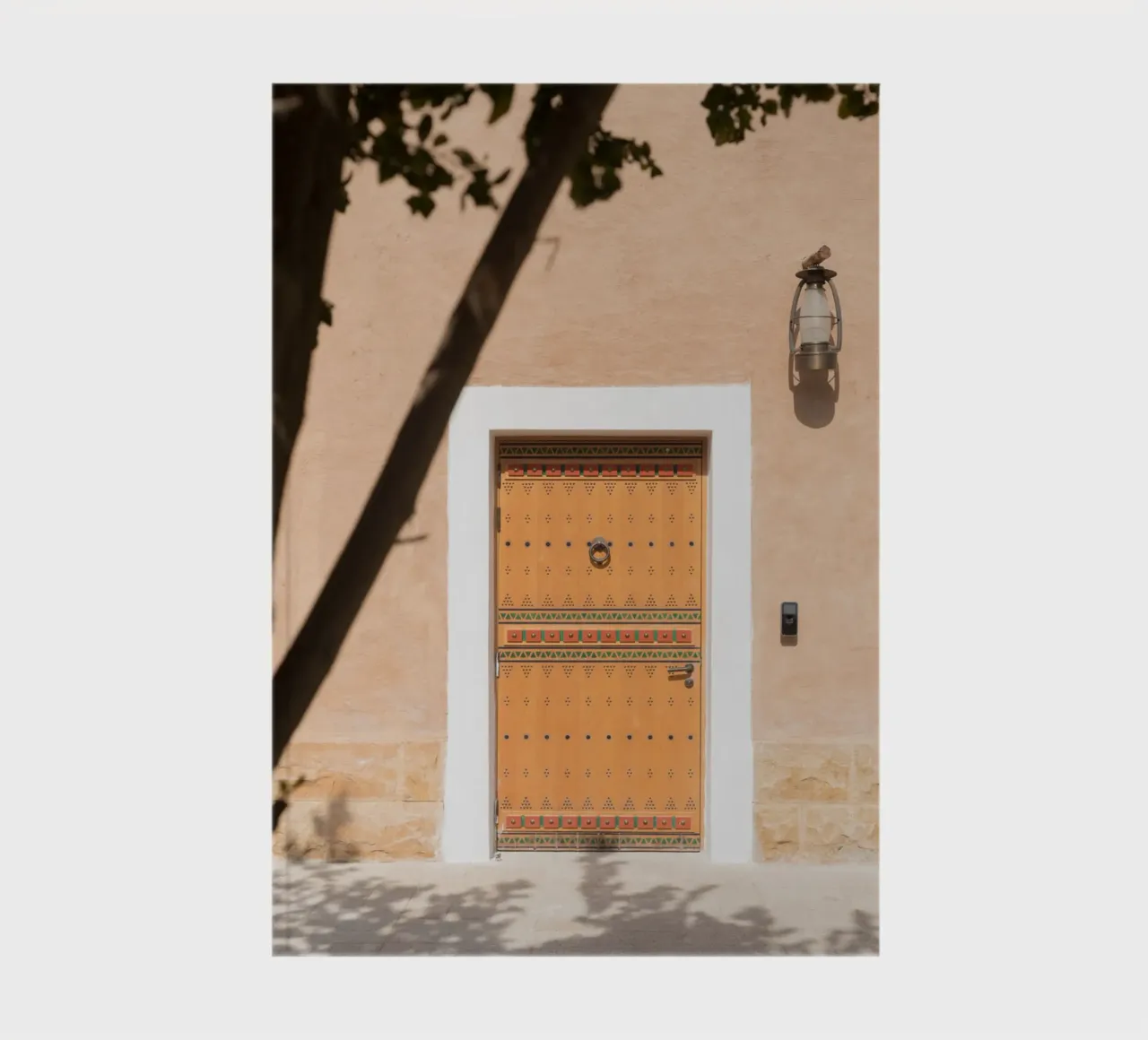 Arabian door and a tree notebook by photolovers
