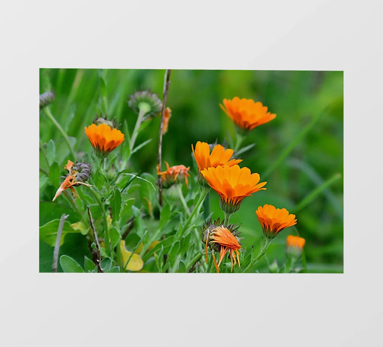 FAA327 photo wallpaper by Thierry vobmann photography