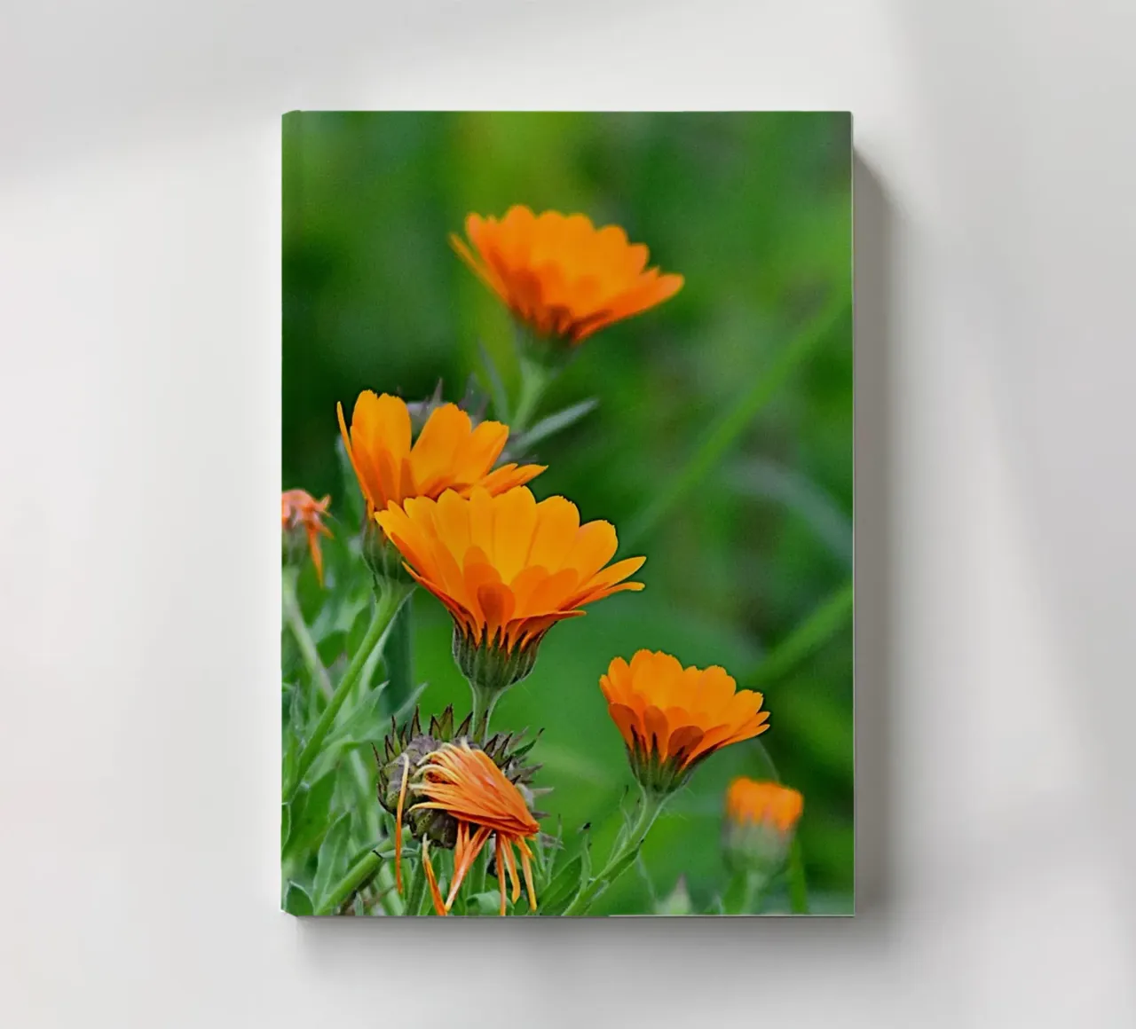 FAA327 carnet de notes de Thierry vobmann photography