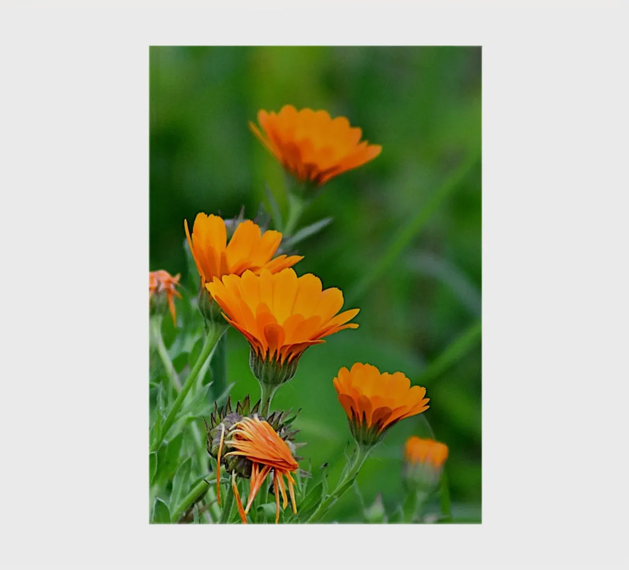 FAA327 carnet de notes de Thierry vobmann photography