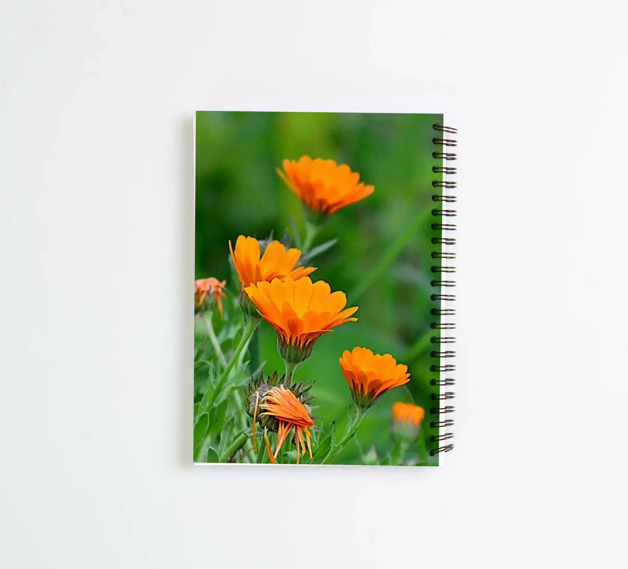 FAA327 spiral notebook by Thierry vobmann photography