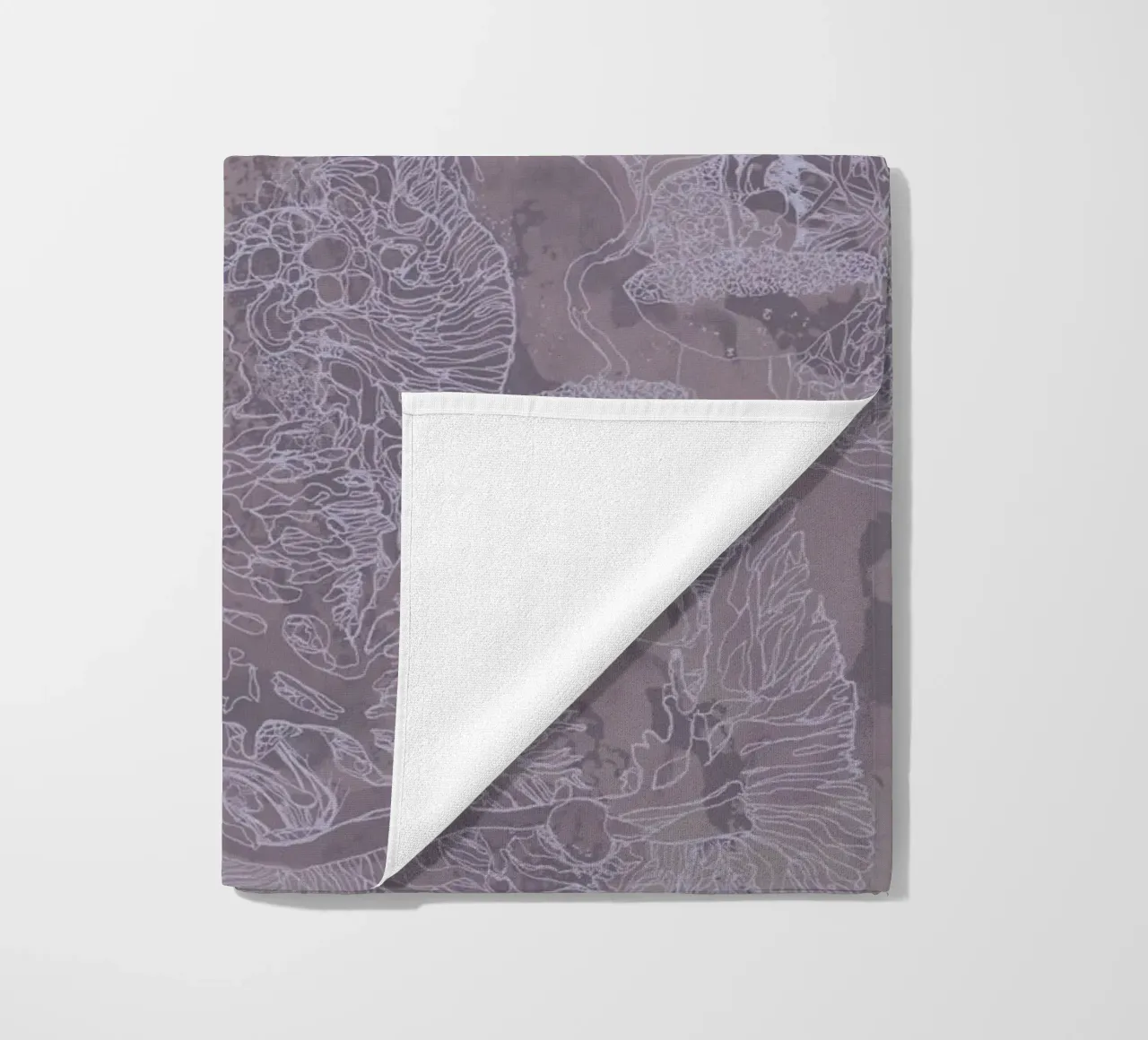 salvia telo mare da Giulio Iurissevich