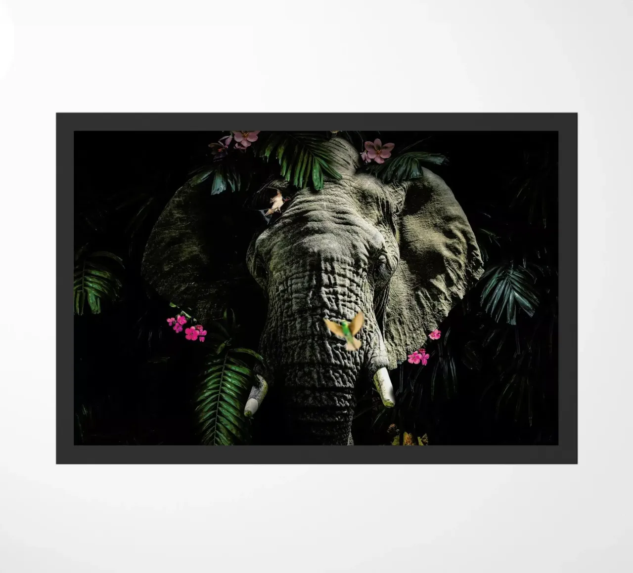 Elephant 5 LS zerbino da Wouter Rikken