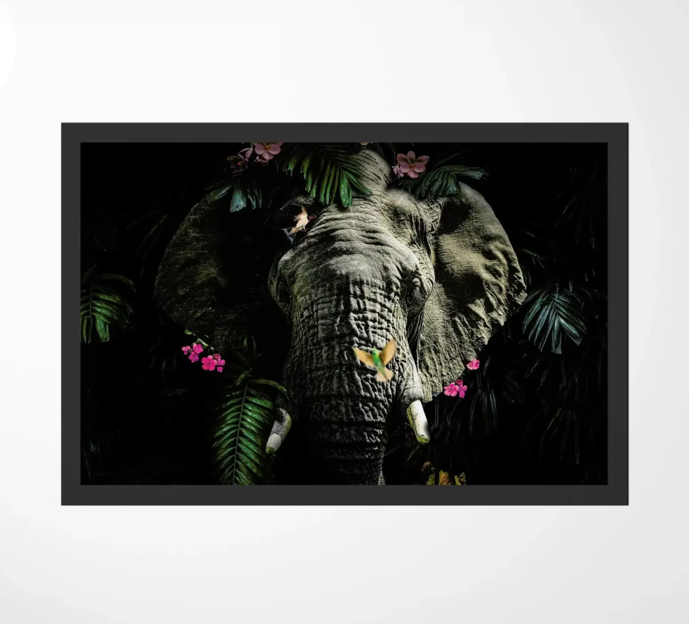 Elephant 5 LS zerbino da Wouter Rikken