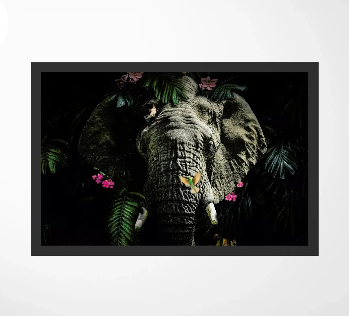 Elephant 5 LS zerbino da Wouter Rikken