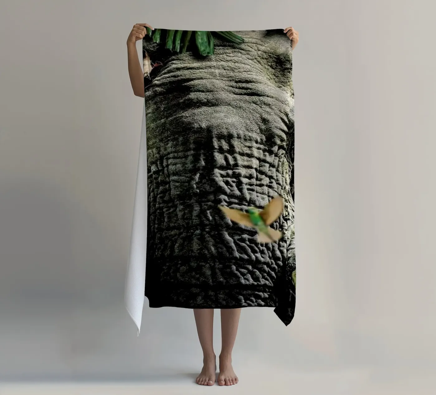 Elephant 5 LS telo mare da Wouter Rikken