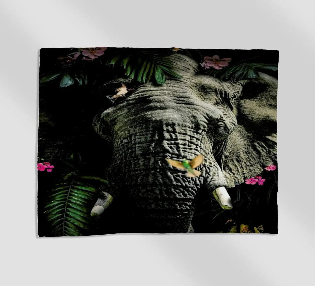 Elephant 5 LS telo mare da Wouter Rikken