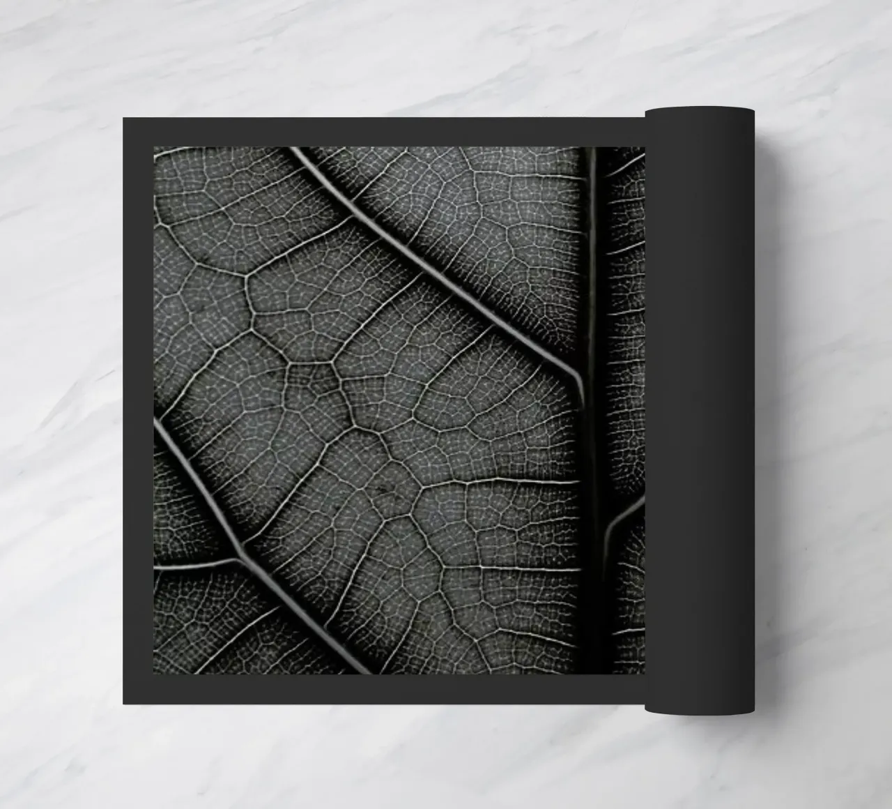 Black Leaf Fiddle Leaf Fig Tree zerbino da Studio Nahili