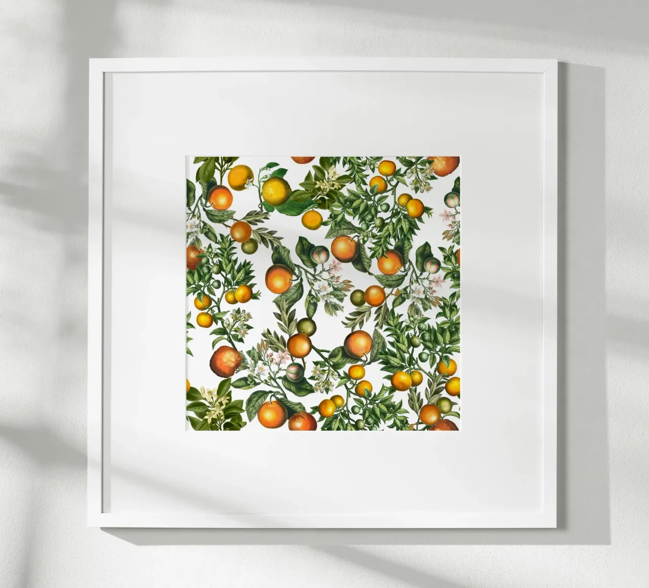 Motif d'oranges sur blanc Impression botanique d'agrumes frais hahnemühle de Stilrausch