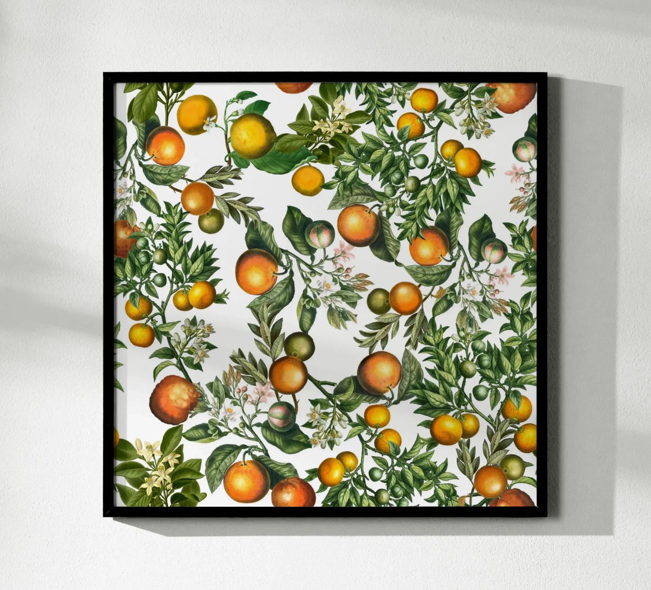 Oranges Pattern on White Fresh Citrus Botanical Print hahnemühle by Stilrausch