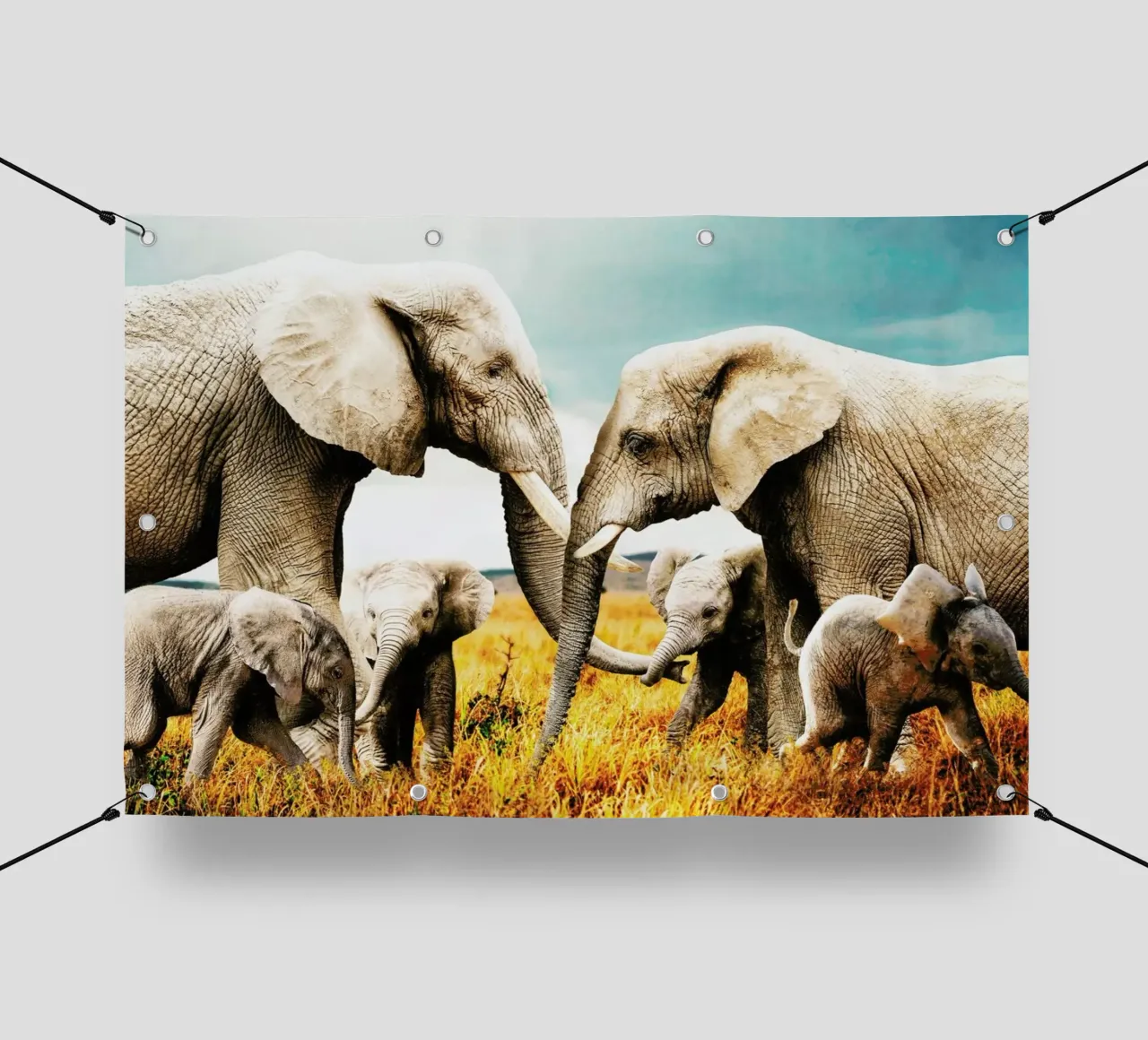 Elephant Family telo in pvc da Wouter Rikken