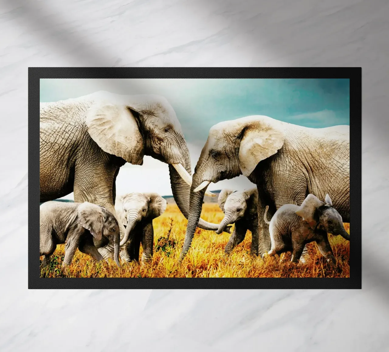 Elephant Family zerbino da Wouter Rikken