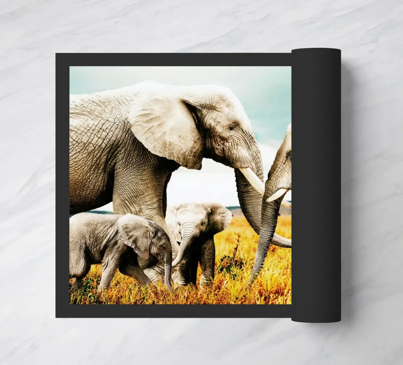 Elephant Family zerbino da Wouter Rikken
