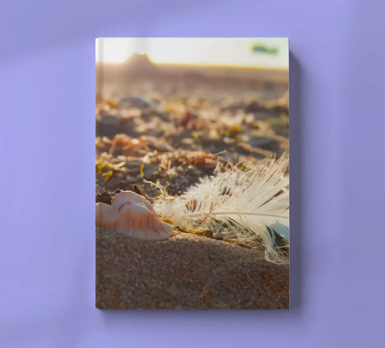 Feather with its shell notebook by MiniClic