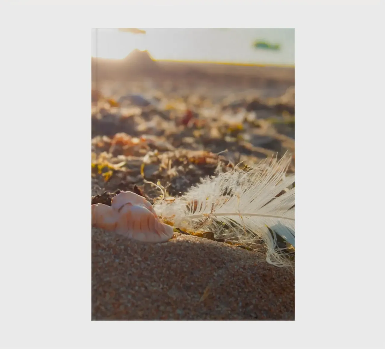 Feather with its shell notebook by MiniClic