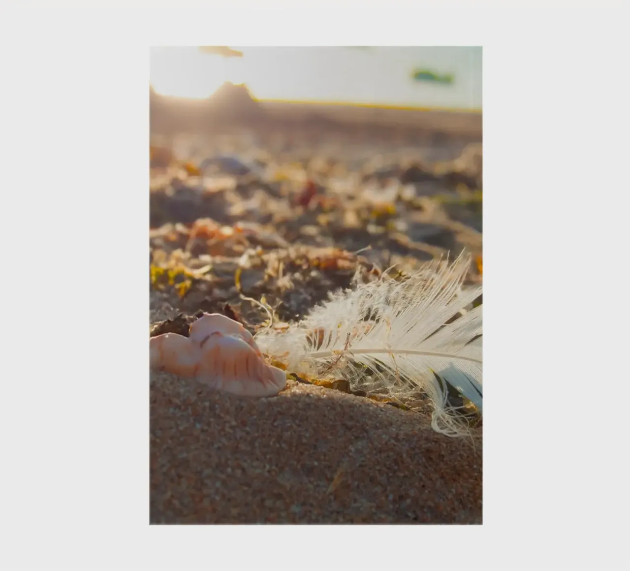 Feather with its shell notebook by MiniClic