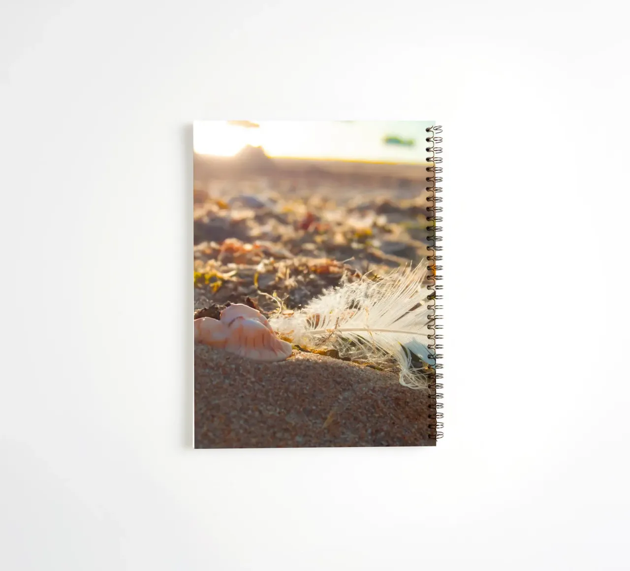 Feather with its shell spiral notebook by MiniClic